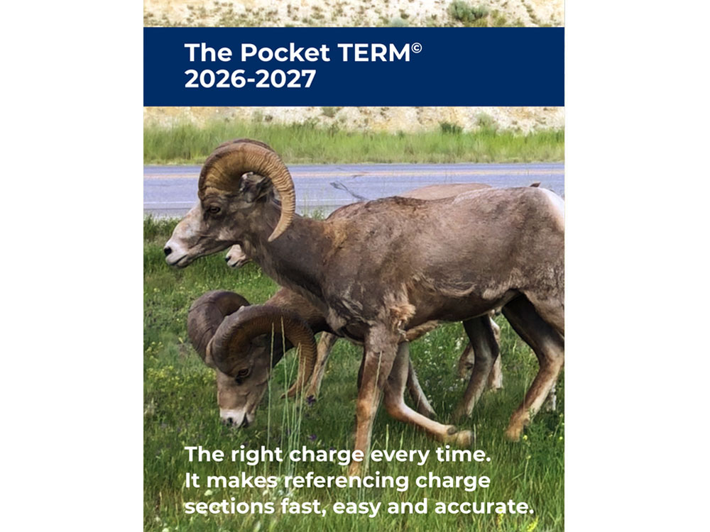 Pocket TERM (2026-2027)